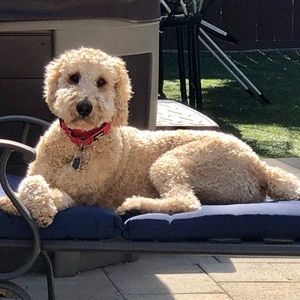 Meet your Posher, Jen